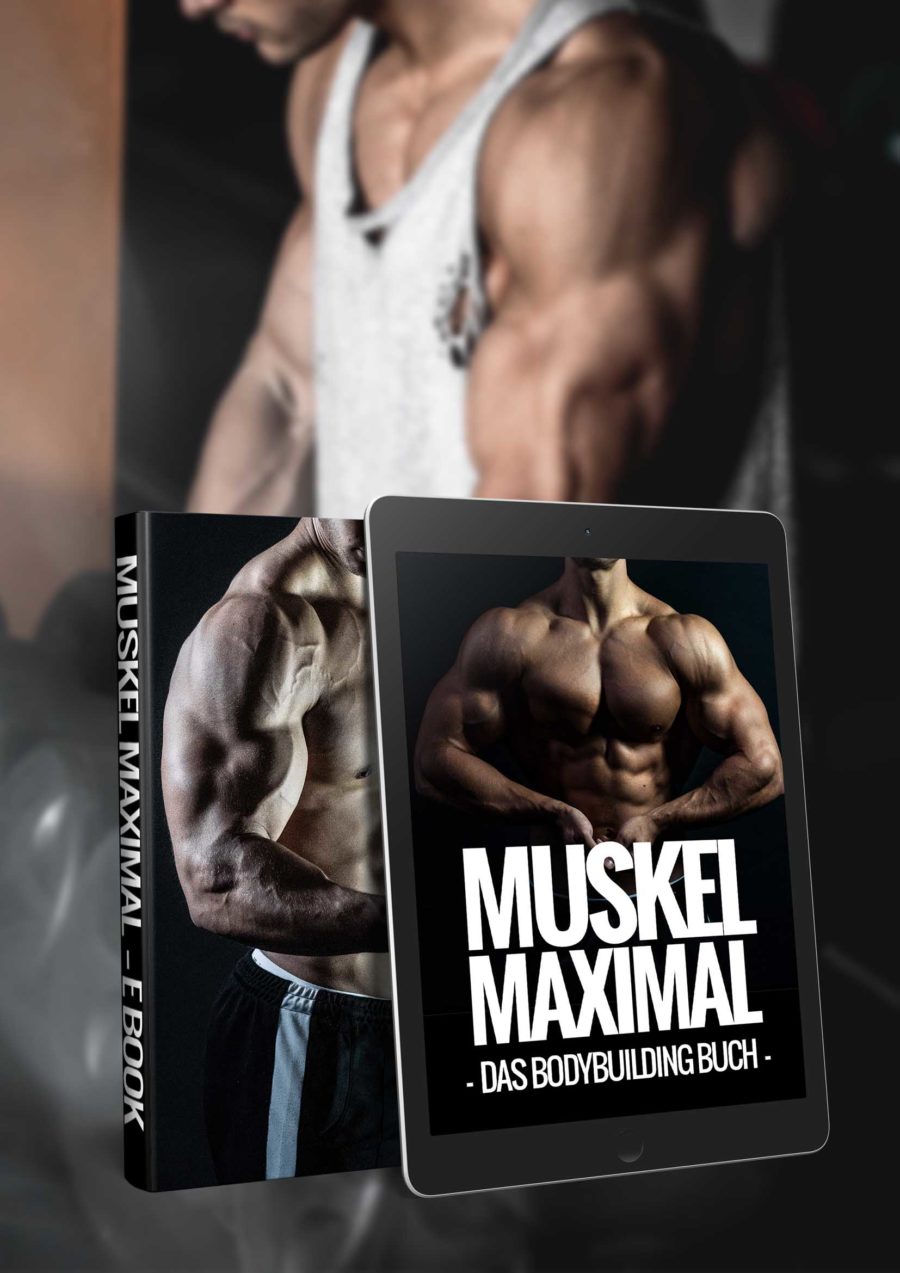 Muskel Maximal Maximaler Muskelaufbau Trainingspläne